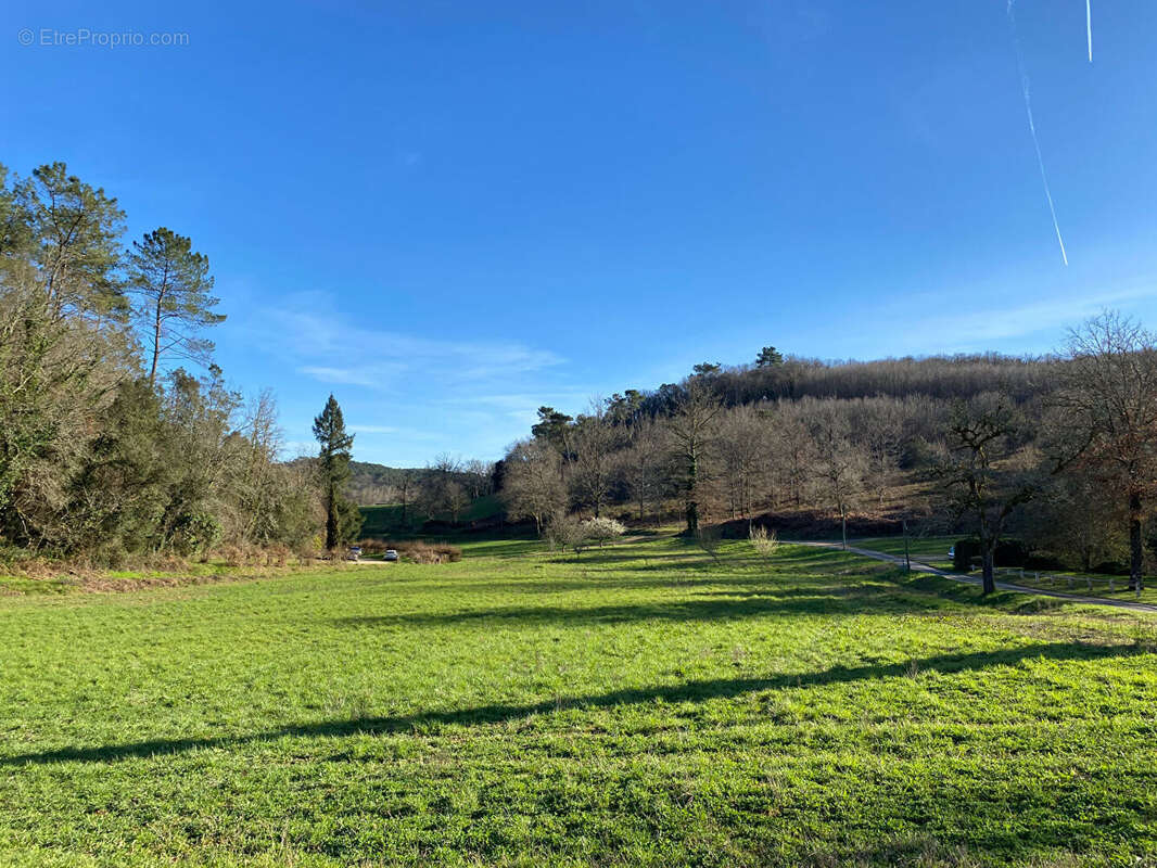 Terrain à SAINT-VINCENT-LE-PALUEL