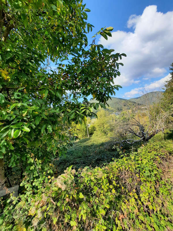 Terrain à SAINT-JEAN-DU-BRUEL