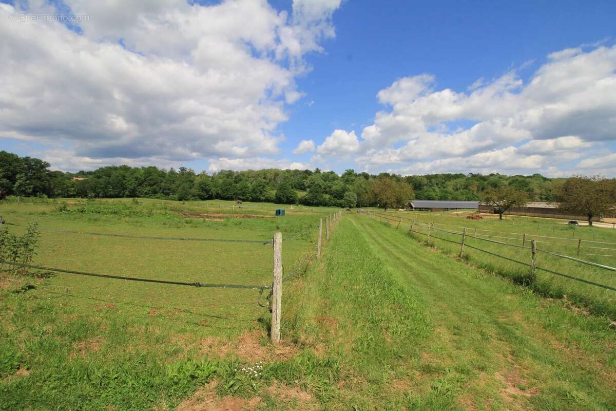 Beau domaine Équestre avec maison d'habitation en Pays de Belvès - photo 13