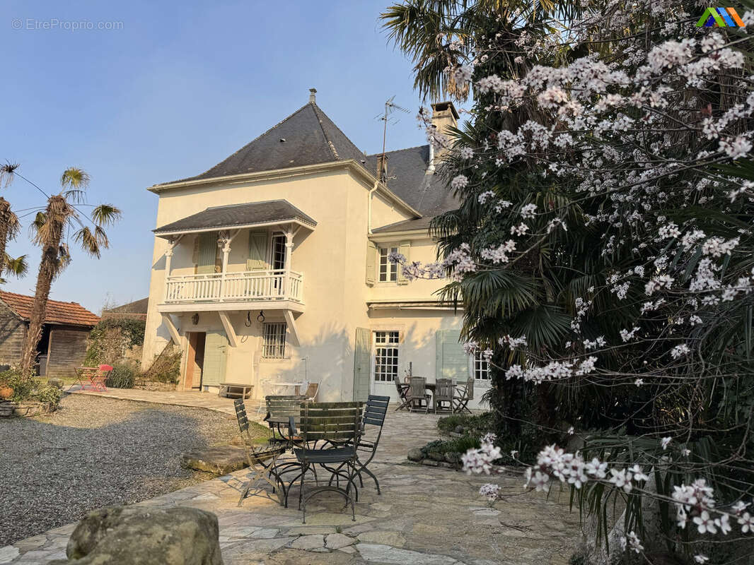 Maison 408 m² à Sauveterre-De-Bearn  - photo 4