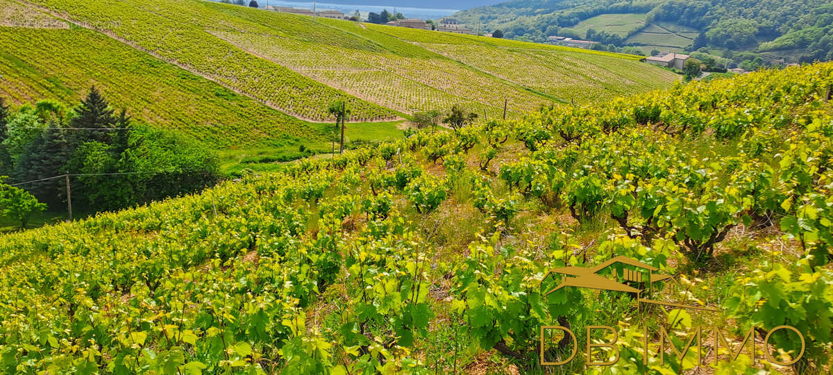 Terrain à JULIENAS
