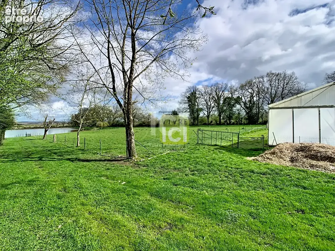 Etang La Romagne - photo 4