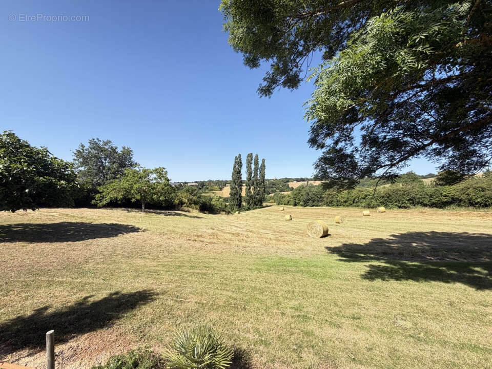 Propriété de 13 000 M2 avec maison de 200 M2 chai de 70 M2 et garage de 80 M2 - photo 18