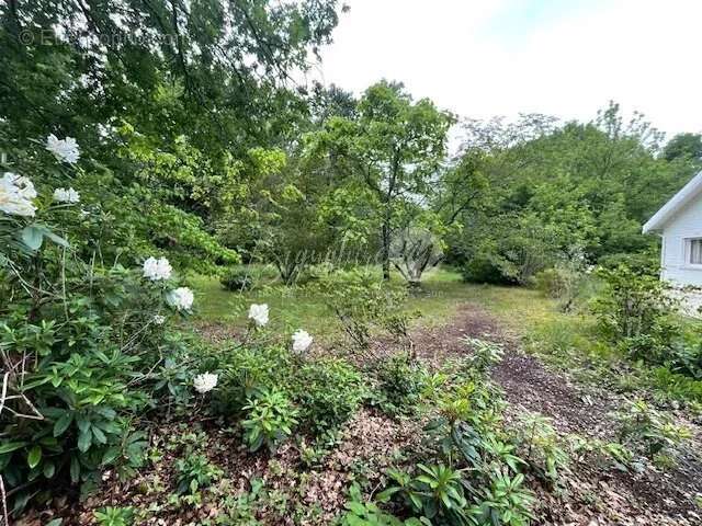 Maison à BLANQUEFORT