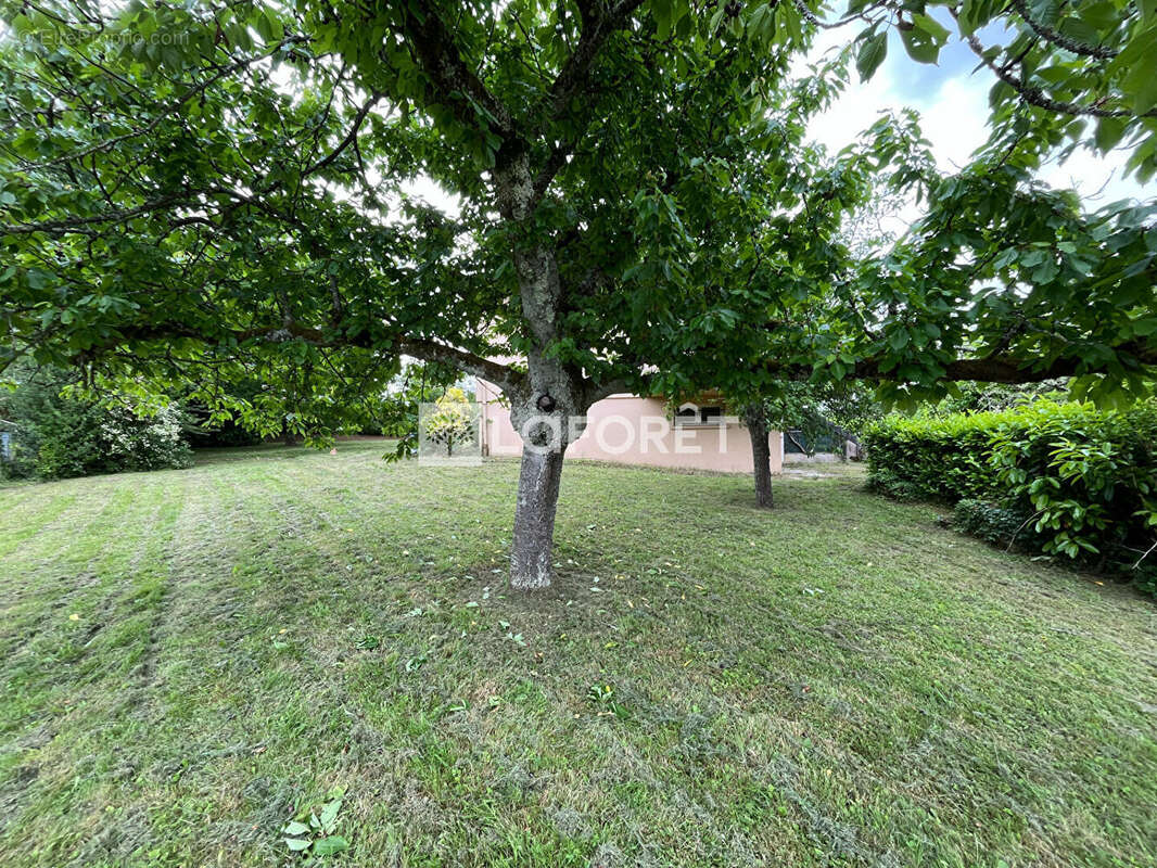 Maison sur sous-sol à Louhans 85 m2 - photo 6