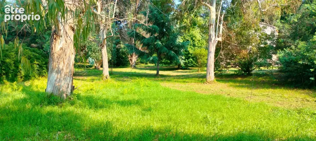 A vendre Terrain de 2200 m2, plat, arboré et clôturé à SAN NICOLAO (HAUTE CORSE) - photo 3