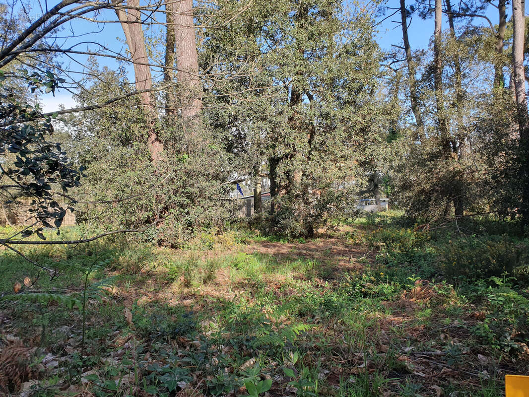 Terrain à JARD-SUR-MER