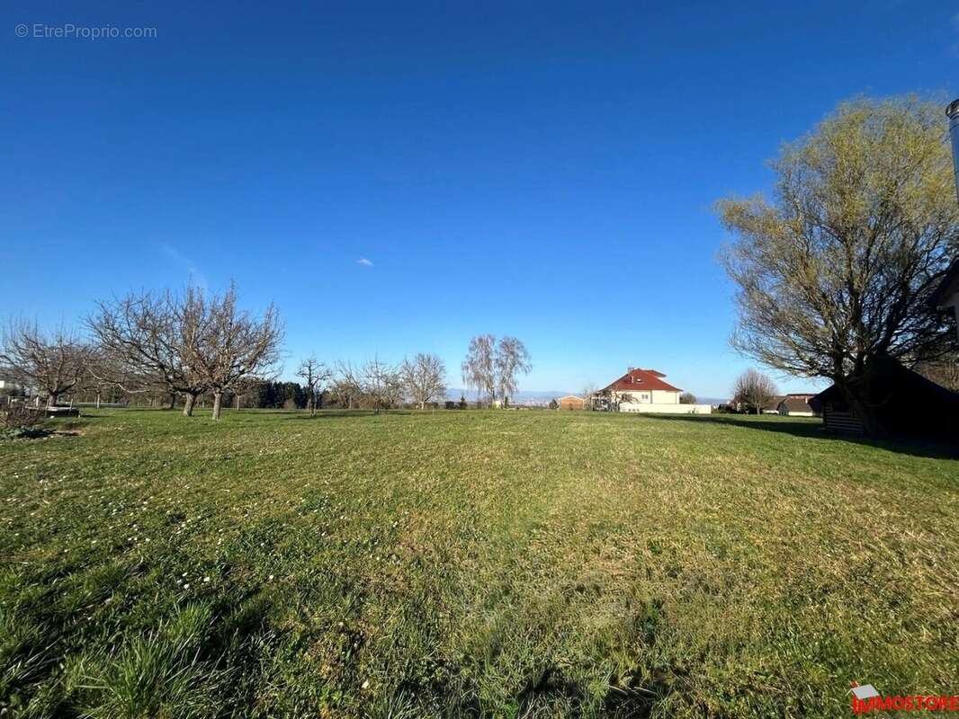 Terrain à FOLGENSBOURG