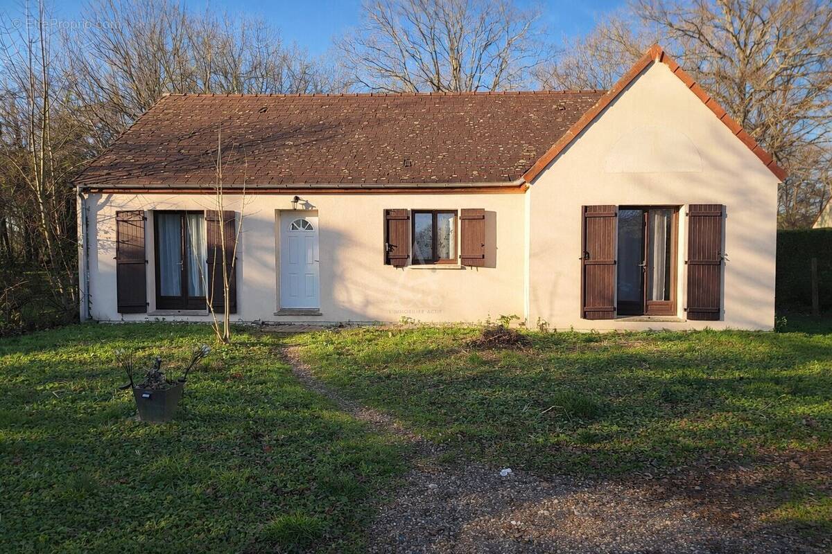 Maison à OUZOUER-SUR-TREZEE