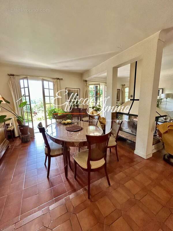 Villa T7 vue sur le Canigou sur 25 700m2 de terrain - photo 7