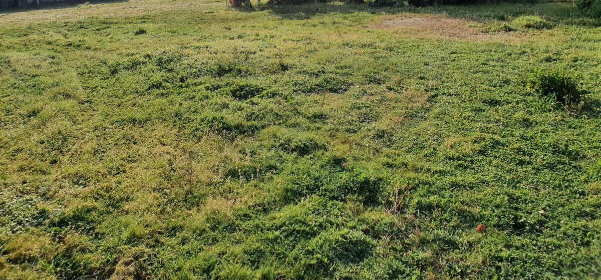 Terrain à LE TEMPLE