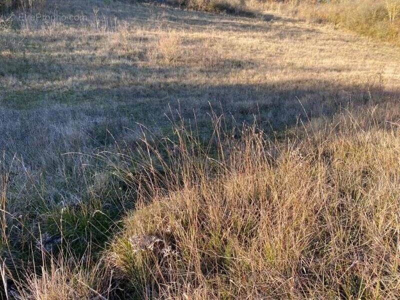 Terrain à VILLEMEUX-SUR-EURE