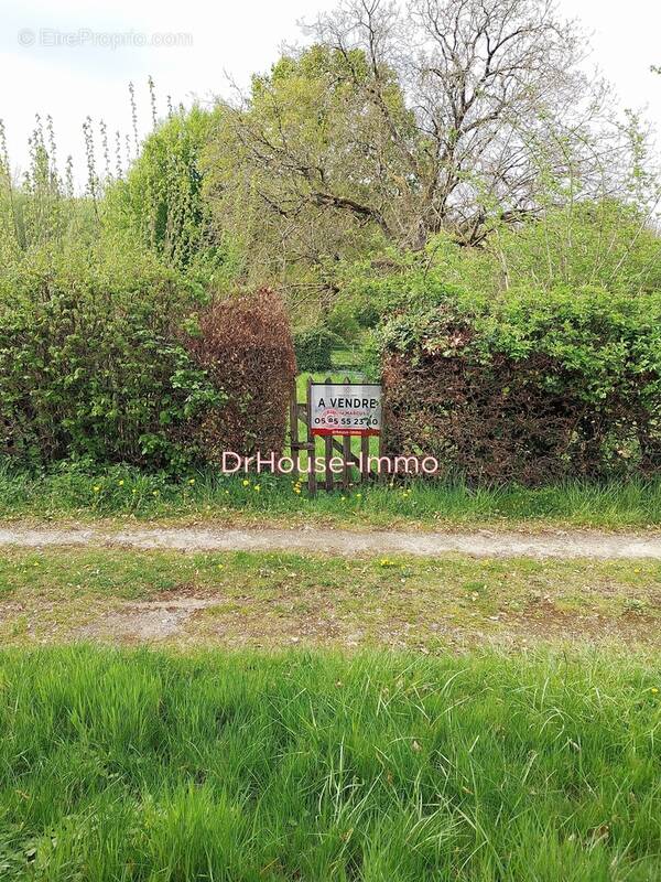 Terrain à CLERMONT-EN-ARGONNE