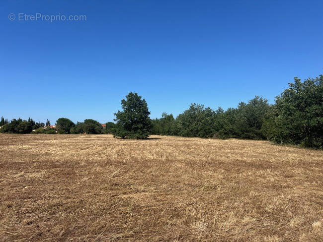 Terrain à THUIR