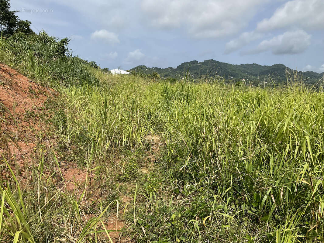 Terrain à LE ROBERT