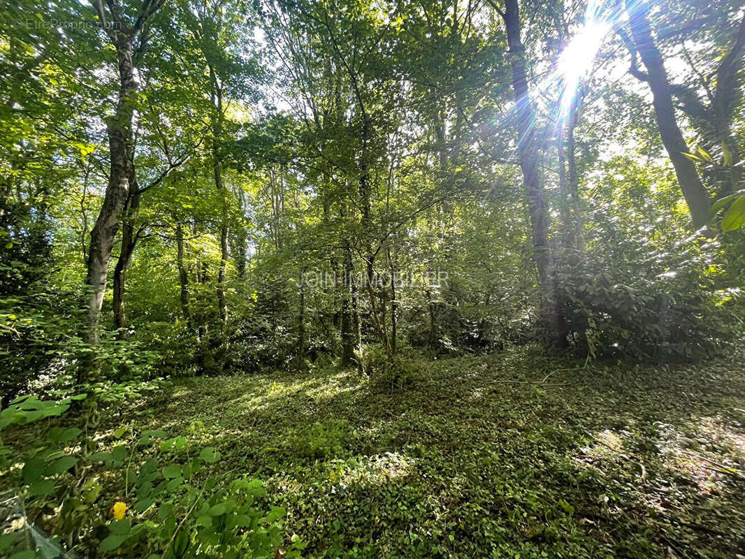 Terrain à VARENGEVILLE-SUR-MER