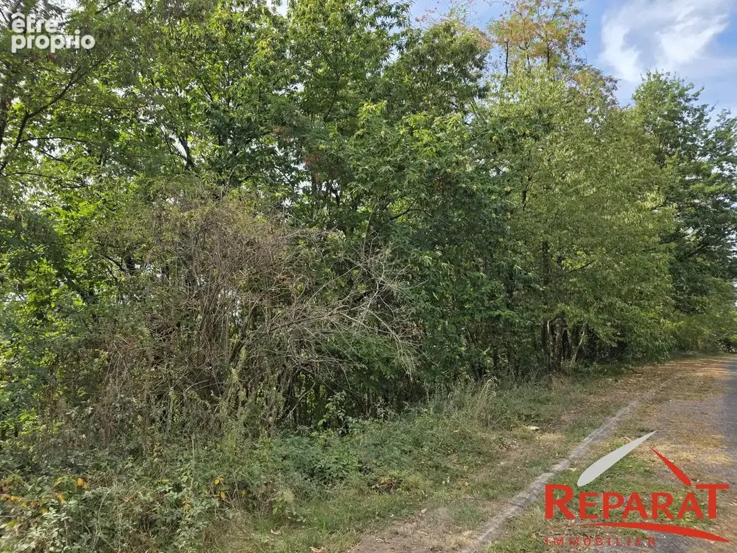 Terrain 800 m² à vendre à Vignols (19130) - photo 2
