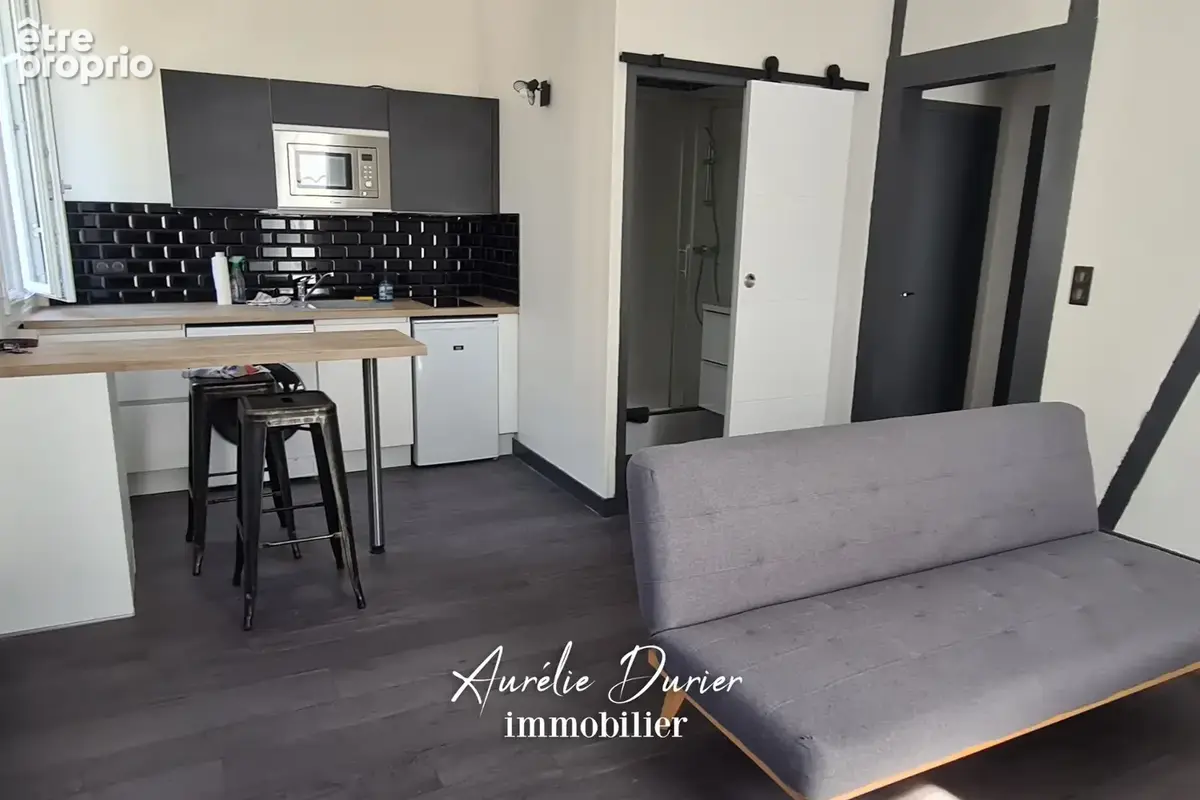 Appartement Céleste - Tours rue Victor Hugo - photo 2