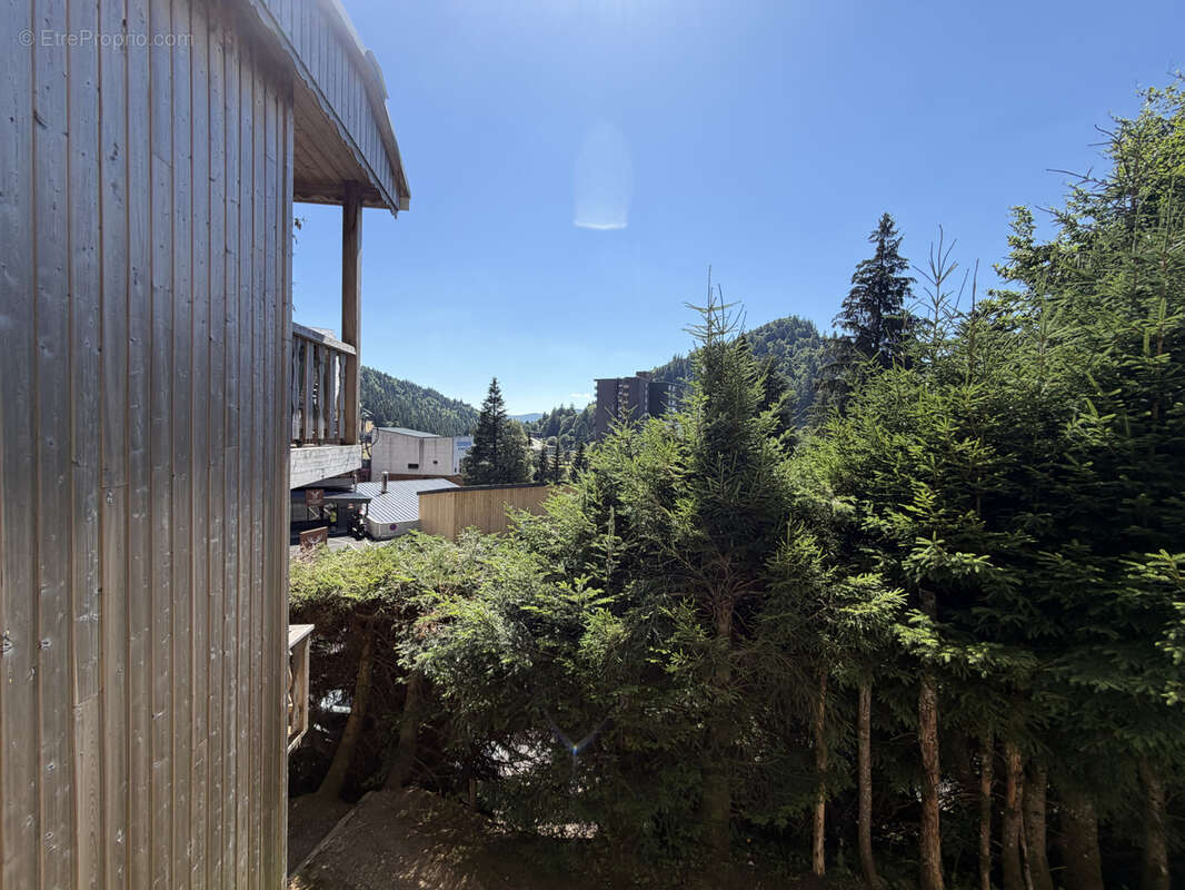 Appartement à LAVEISSIERE