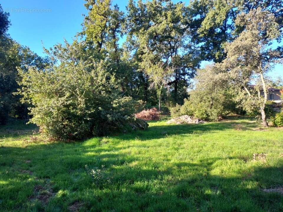 Terrain à CAMPS-LA-SOURCE