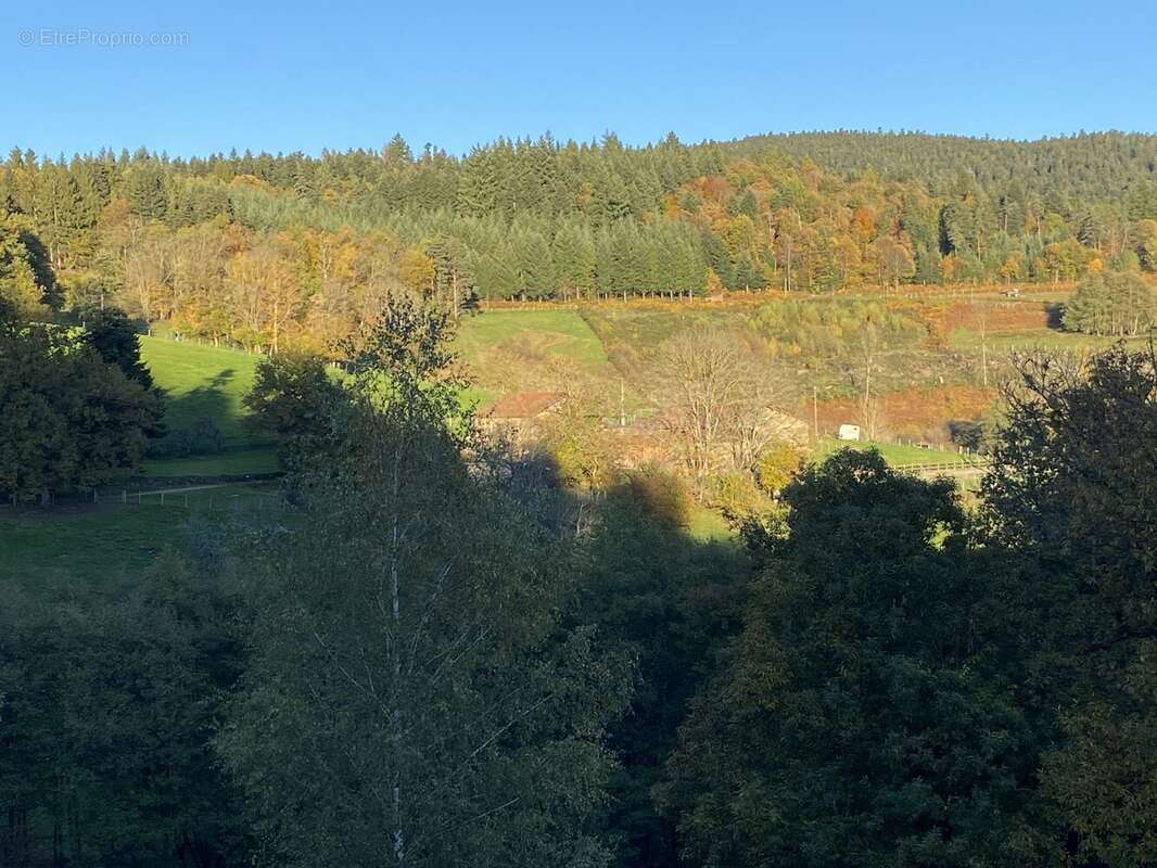 Maison à AUGEROLLES