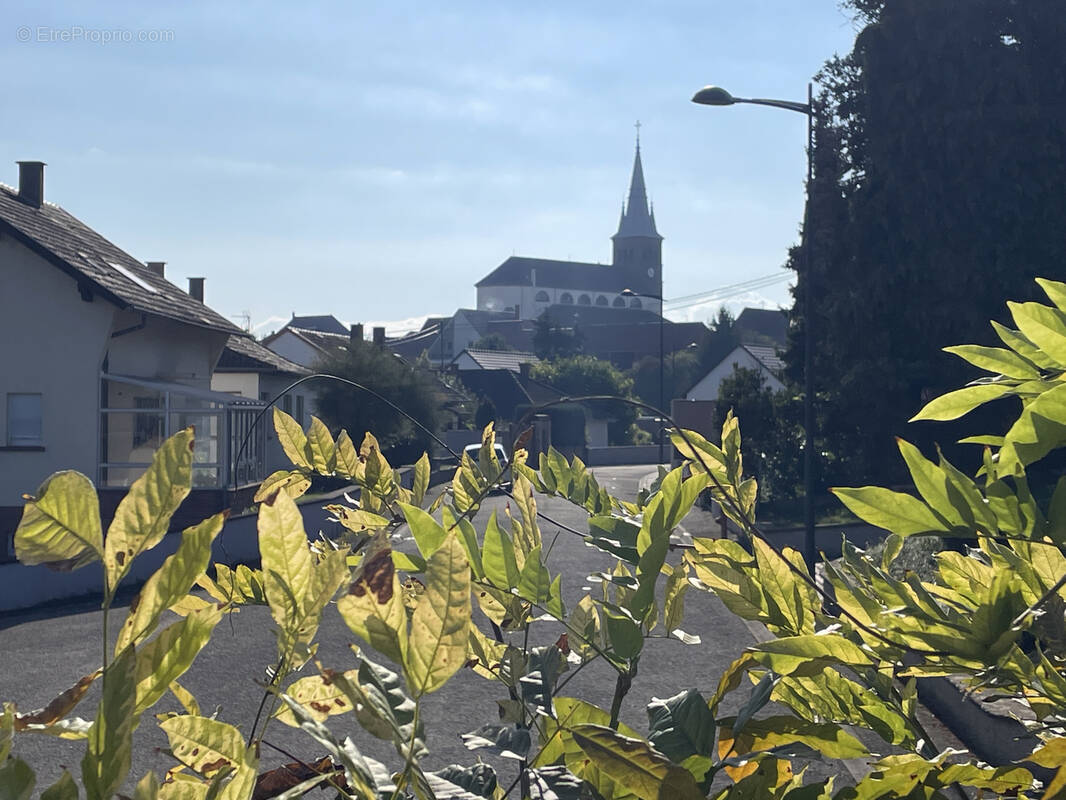 Maison à HOCHFELDEN