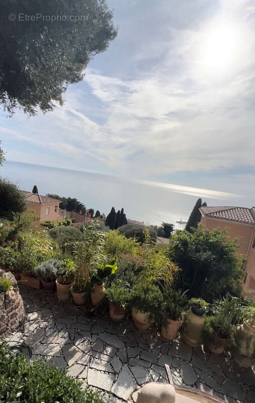 Maison à MENTON