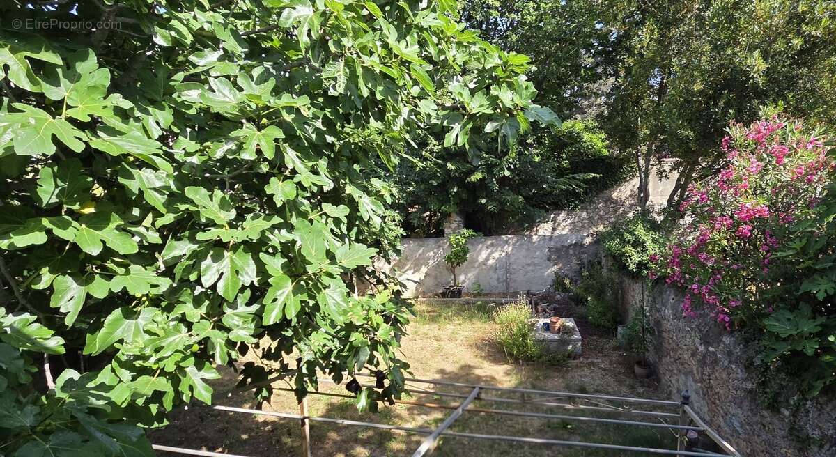 Bouzigues - maison de village avec jardin et garage - photo 15