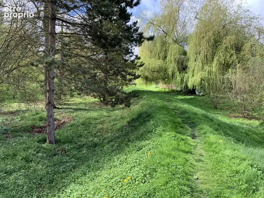 Magnifique terrain de loisirs arboré au bord de l'Eure ! à 2 mn d' Anet - photo 7