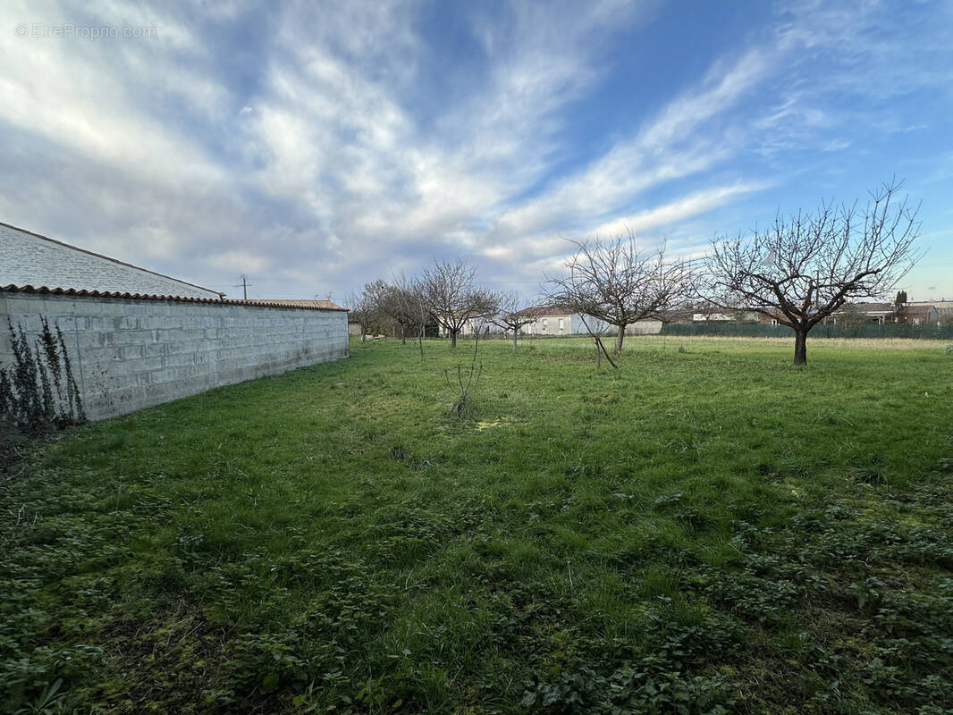 Terrain à BERCLOUX