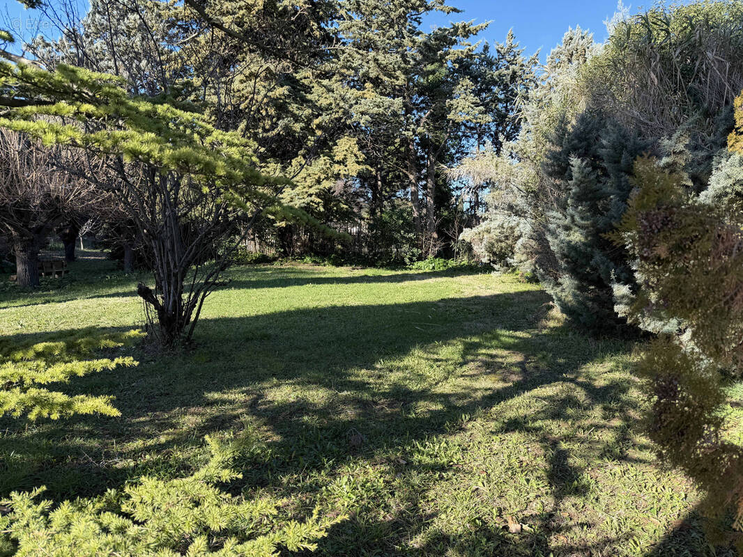 Terrain à SOMMIERES