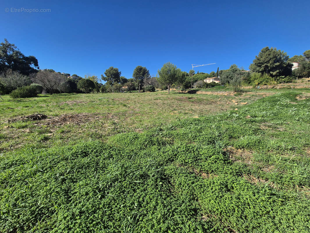 Terrain à LE PRADET