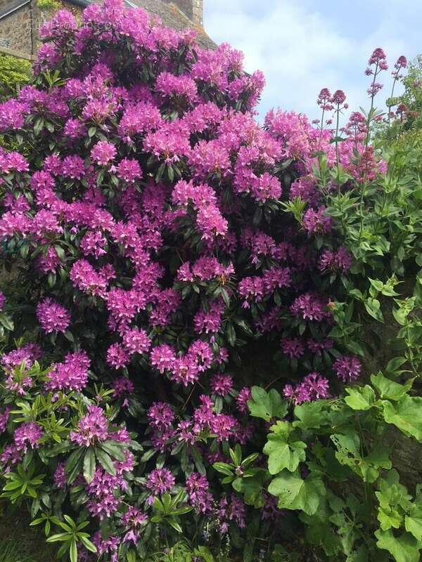 Maison à FERMANVILLE