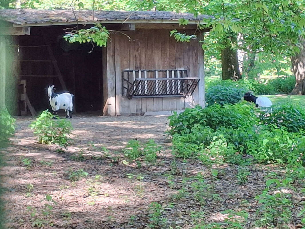 Terrain à CHATENOY-EN-BRESSE