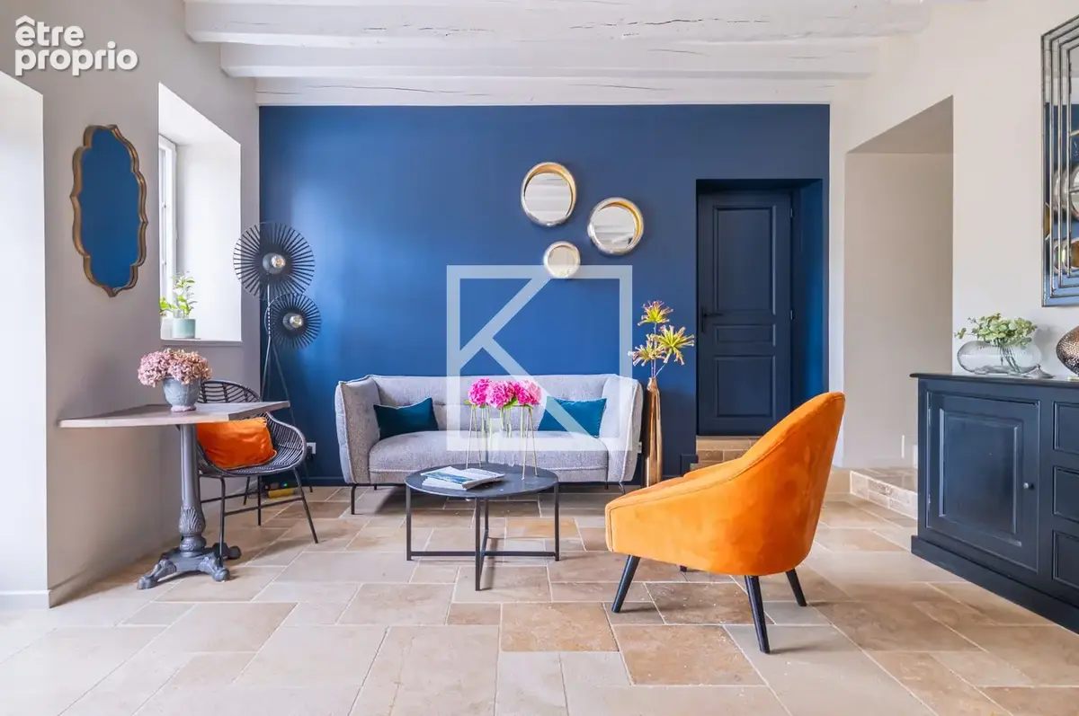Maison 12 pièces 580 m² à vendre à Neuvy-Le-Roi (37370) - photo 4