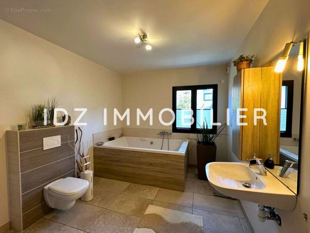 Maison à BUSCHWILLER