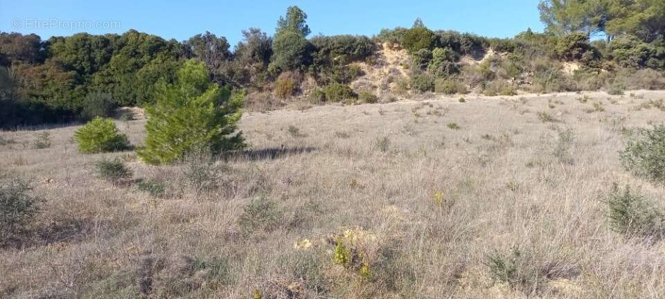 Terrain à PORTEL-DES-CORBIERES