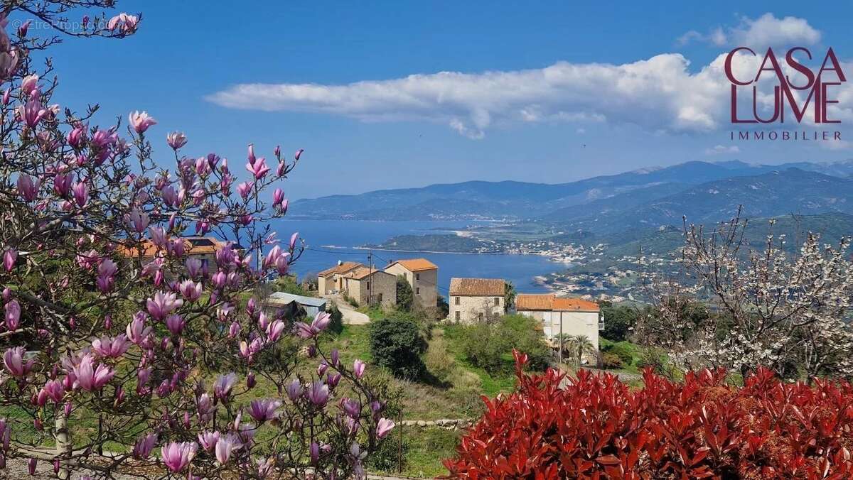 Maison à CALCATOGGIO