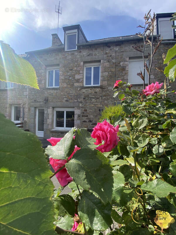 Maison à SAINT-ALBAN