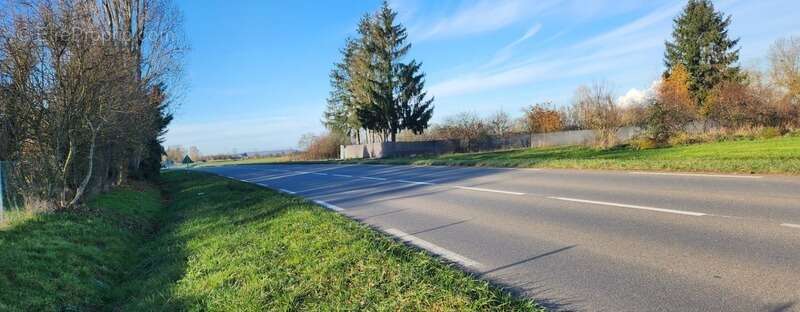 Terrain de loisirs - photo 10