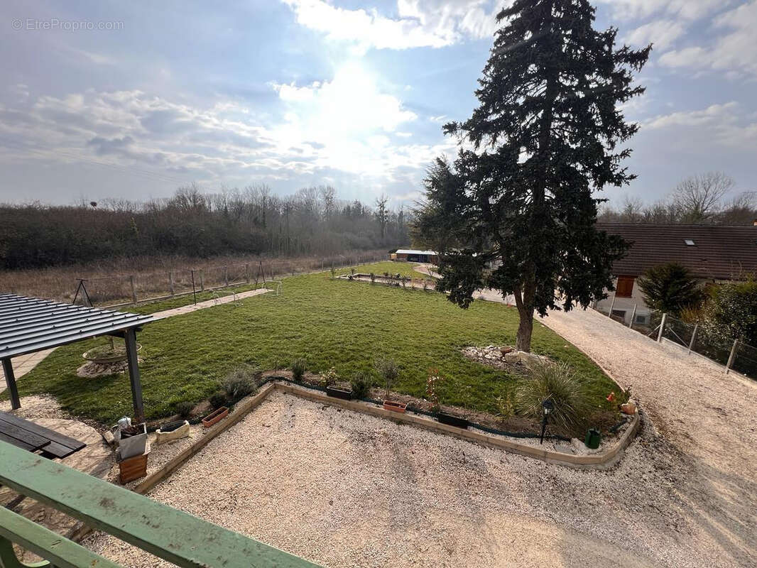 Maison à AILLANT-SUR-THOLON