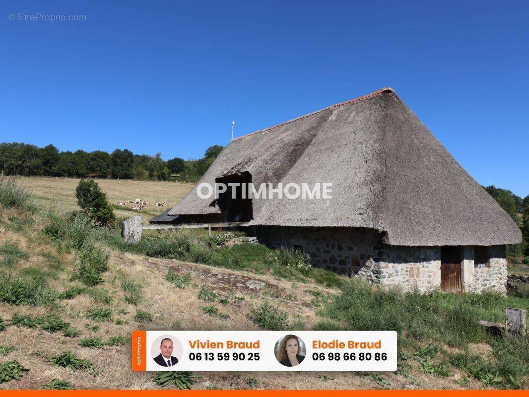 Pierre, chaume, grands volumes et vue sur le Sancy : un projet rare dans le Cantal - photo 19