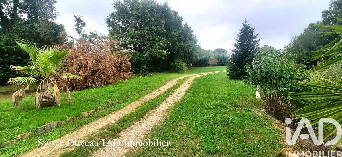 Maison 131 m² à Puycornet  - photo 9