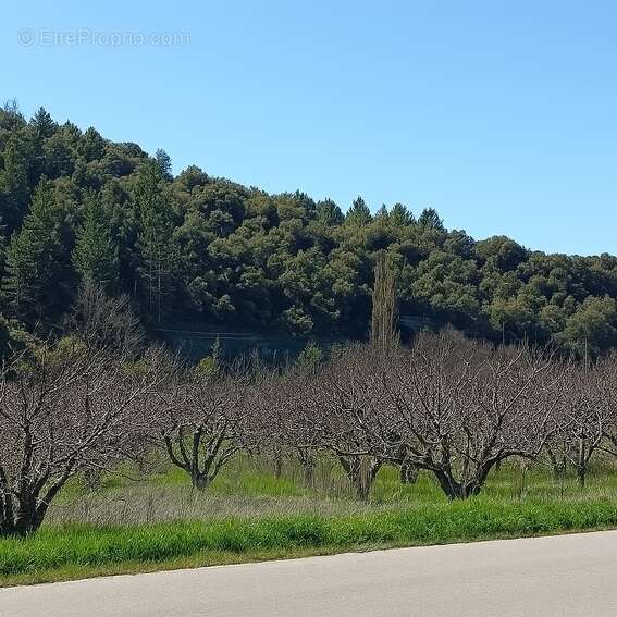 Maison à BEAUMONT-DU-VENTOUX