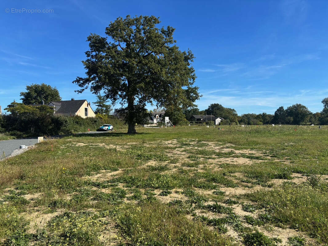Terrain à SAINT-MARS-DU-DESERT