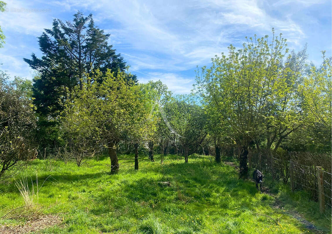 Terrain à SAINT-URBAIN