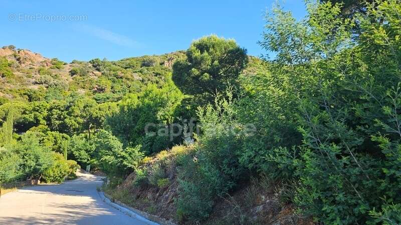 Terrain à LE LAVANDOU