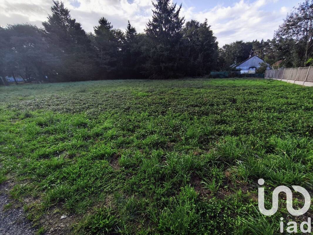 Photo 1 - Terrain à VILLEFRANCHE-SUR-CHER