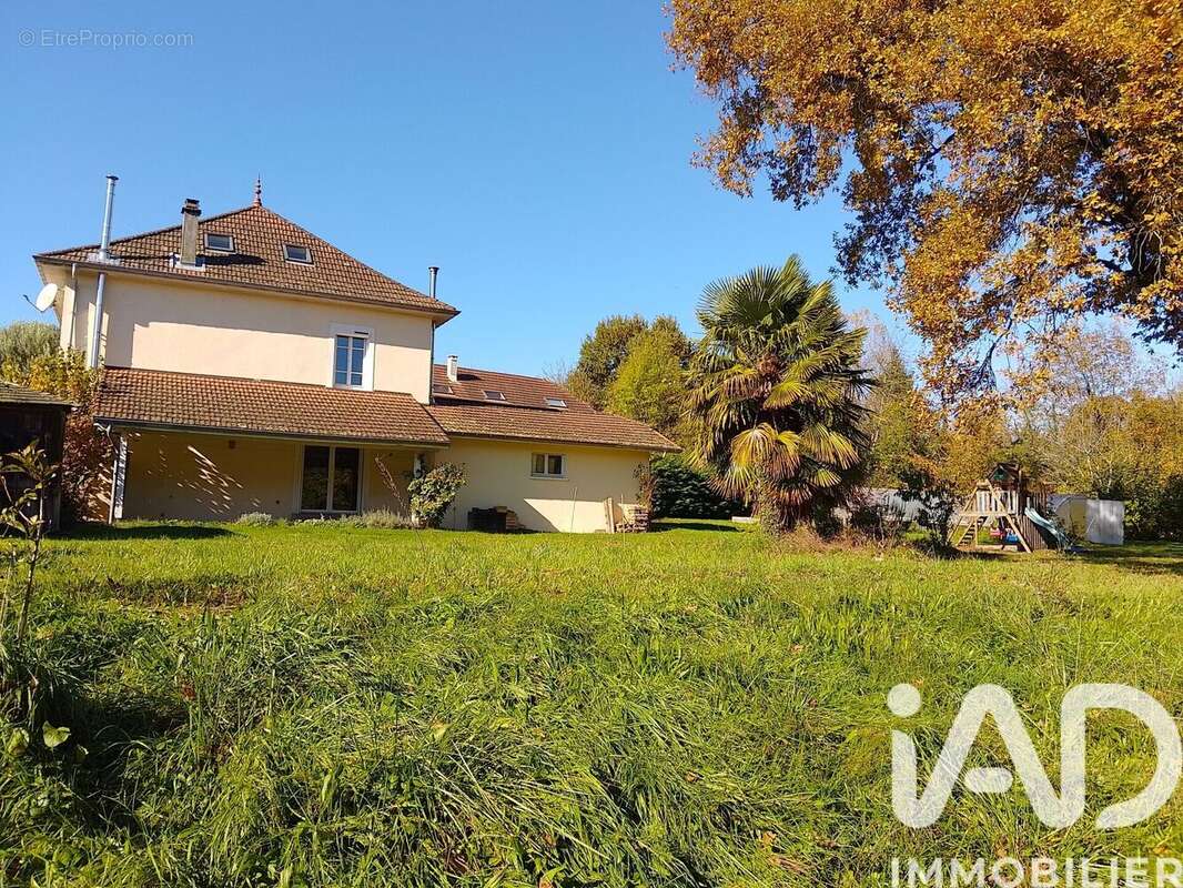 Photo 5 - Maison à MASSIGNIEU-DE-RIVES