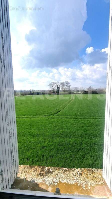 20250315_122116 - Maison à CASTELSARRASIN